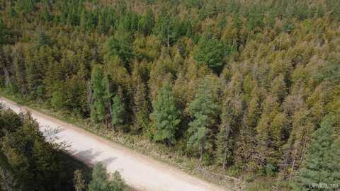 Vega, Hermansville, MI 49847