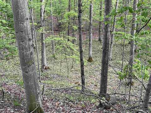 42.5 AC 9.5 Road, Garden, MI 49835
