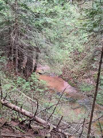 TBD Victoria Dam, Rockland, MI 49960