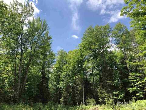 Lot F Maple Wood, Gwinn, MI 49841
