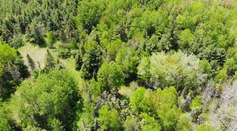TBD 1 Larson, Bruce Crossing, MI 49912