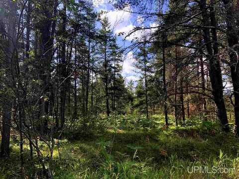 915 N Sporley Lake, Gwinn, MI 49841