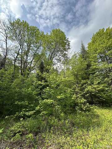 5563 Calderwood, Trout Creek, MI 49967