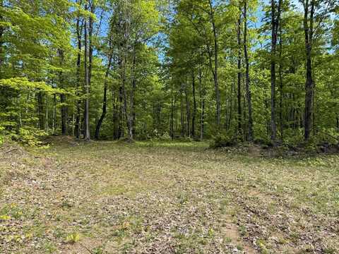 TBD Off State Highway M-26, Painesdale, MI 49955