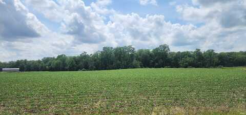 16839 Scipio Road, Harlan, IN 46743