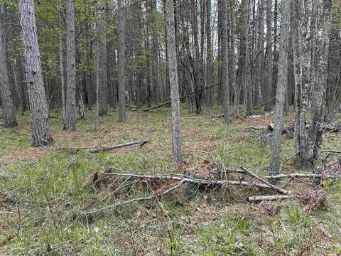 TBD Parcel 2 Paint River, Crystal Falls, MI 49920