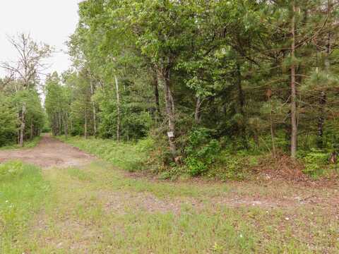 60 A. Wards, Iron River, MI 49935