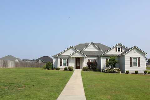 46 GATLING WAY, Lakeland, GA 31635