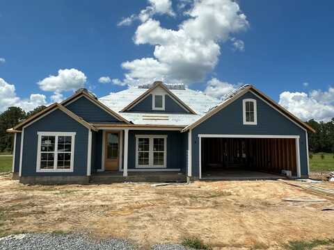 307 Barry Field Cir, Hahira, GA 31632