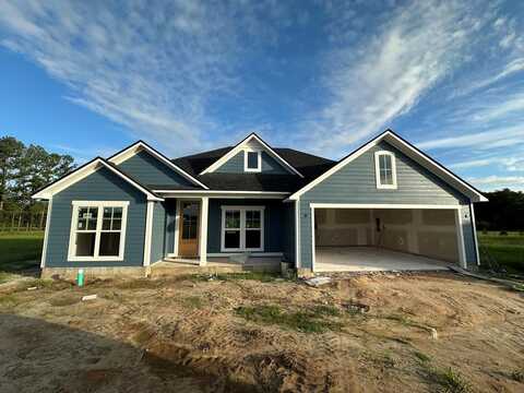 307 Barry Field Cir, Hahira, GA 31632