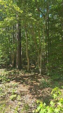 5.23 Ac New Hope Court, Gloucester, VA 23061