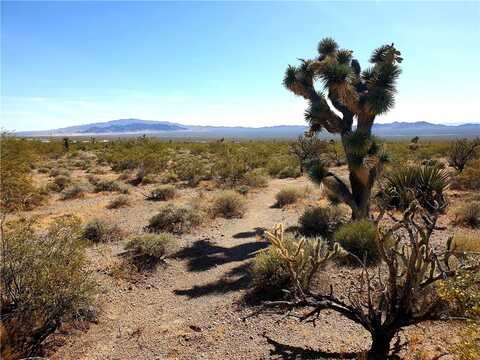 11321 W Santa Bella Drive, White Hills, AZ 86445