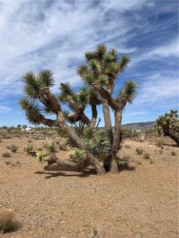 327-02-131 Sunflower Dr, Dolan Springs, AZ 86441