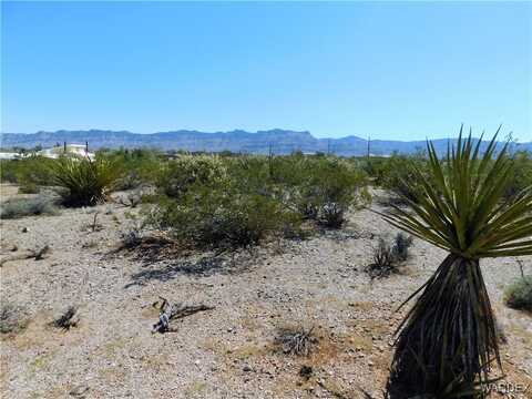 549 Overton Drive, Meadview, AZ 86444