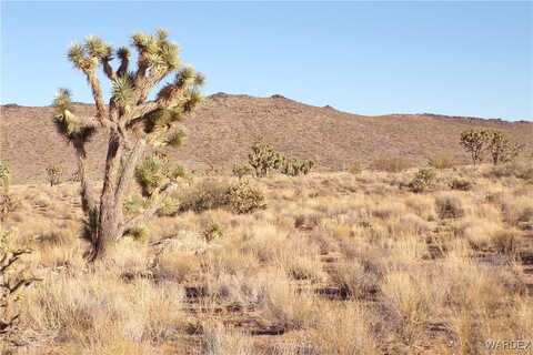 Lot 30 N Telegraph Drive, Dolan Springs, AZ 86441