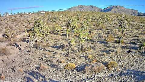 17096 N Manor Drive, Dolan Springs, AZ 86441