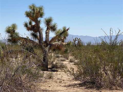 #812 Stagecoach Trail, Yucca, AZ 86438