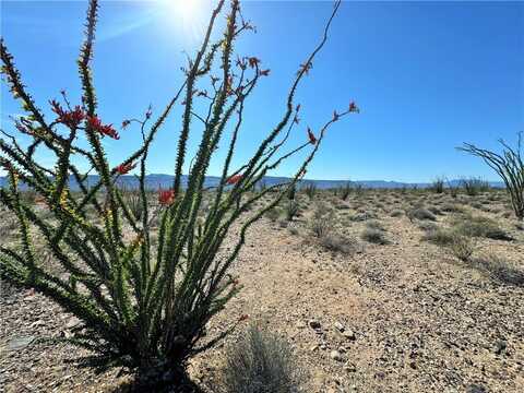 Tbd Juniper Drive, Yucca, AZ 86438