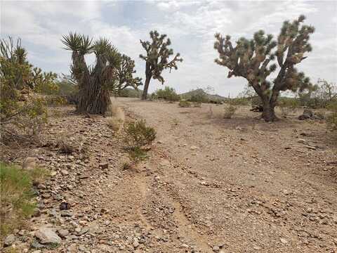 21084 N Madera Drive, White Hills, AZ 86445