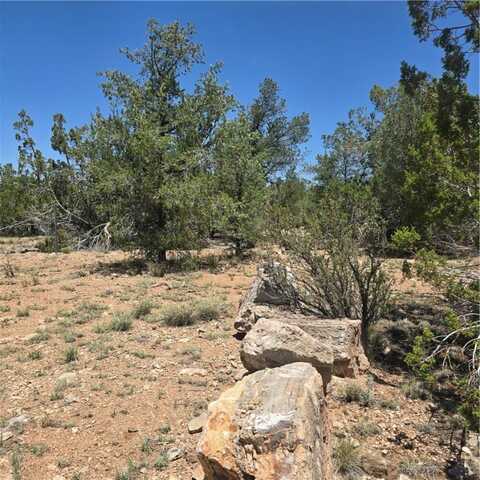32220 W Conejo Road, Seligman, AZ 86337