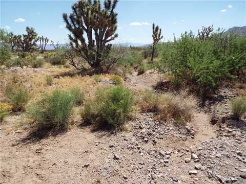 0000 N Laurel, Dolan Springs, AZ 86441