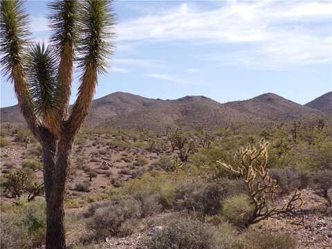 8108 W Rio Vista Drive, White Hills, AZ 86445