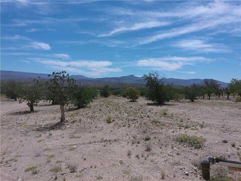 18041 S Cholla Chuck Drive, Wikieup, AZ 85360