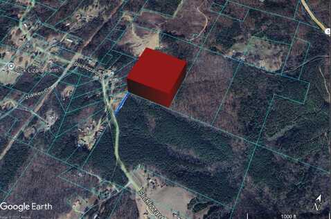 SLICK LIZARD Rd, Nauvoo, AL 35578