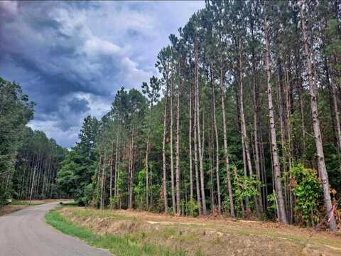 1197 2 HILL Rd, Nauvoo, AL 35578