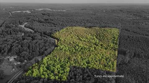 0 TUCKER RD Rd, Lynn, AL 35575