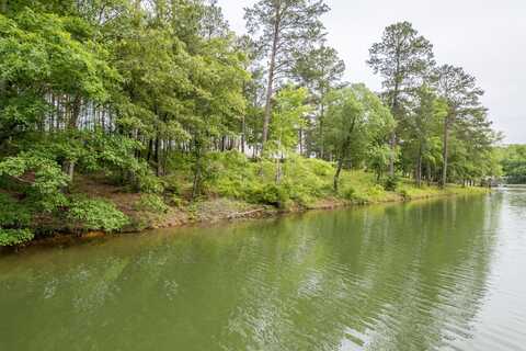 LOT 49 SHORESIDE AT SIPSEY, Double Springs, AL 35553