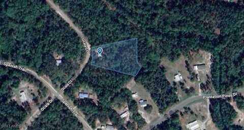 204 OCALA Court, Georgetown, FL 32139