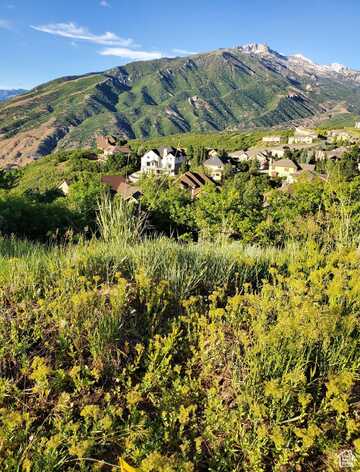 14849 S SADDLE LEAF, Draper, UT 84020