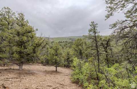 292 E HIGHWAY 89, Indianola, UT 84629