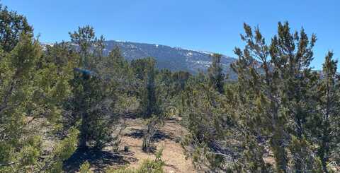 6980 E 11125 N, Spring City, UT 84662