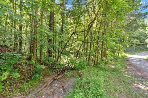 0 Whitestone Drive, Talking Rock, GA 30175
