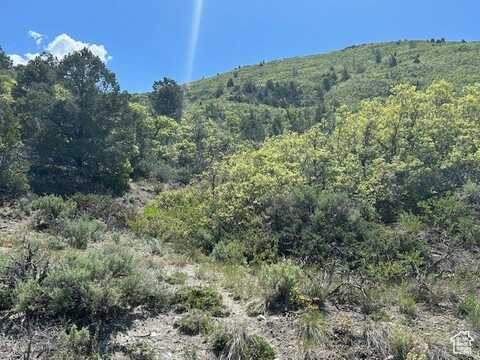 undefined, Indianola, UT 84629