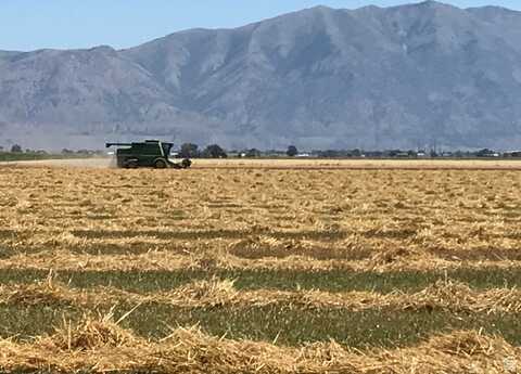 10000 W 10400 N, Bothwell, UT 84337