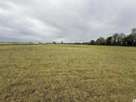 County Road 1305/1306, Bardwell, KY 42023