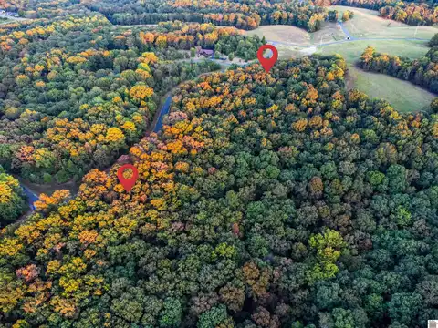 Lot 79b waterfowl, Murray, KY 42071