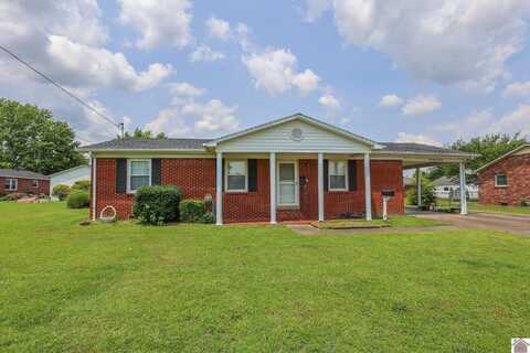 207 Macedonia St, Mayfield, KY 42066