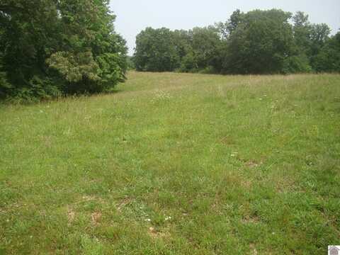 700 crossroad school road, Cadiz, KY 42211