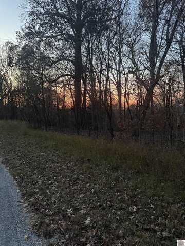 Al Henn Rd., Cadiz, KY 42211