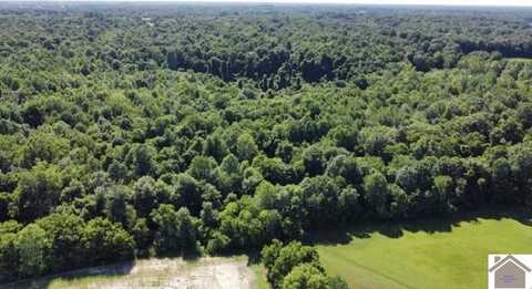 1 Timber Ridge Drive, Paducah, KY 42001