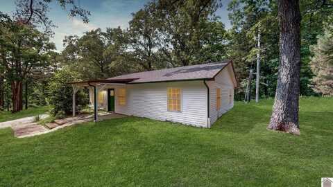 1410 Kline Trail, New Concord, KY 42076