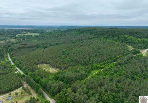 000 Cedar Grove Road, Salem, KY 42078