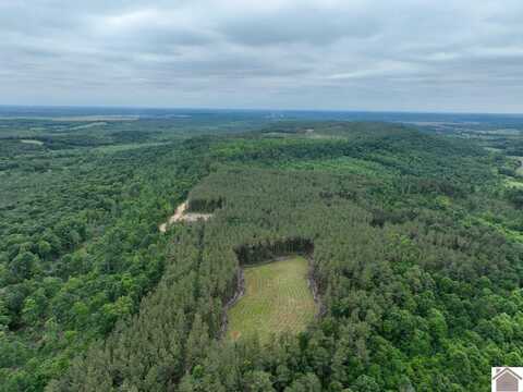 000 Cedar Grove Road, Salem, KY 42078