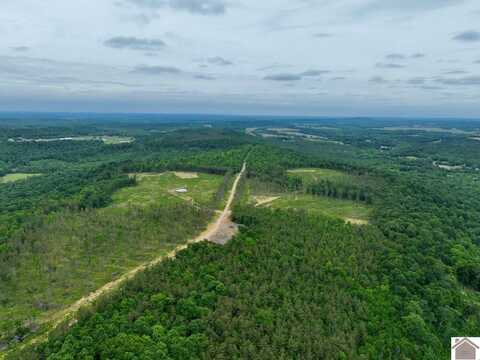 000 Cedar Grove Road, Salem, KY 42078