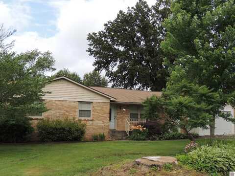 209 Fairlane, Mayfield, KY 42066