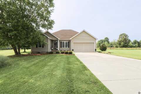 71 Tanna Shae, Symsonia, KY 42082